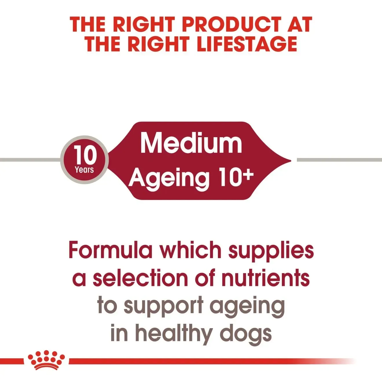 Royal Canin Pouch อาหารเปียกสุนัข สูตร Medium Ageing สำหรับสุนัขพันธุ์กลางสูงวัย 140 g