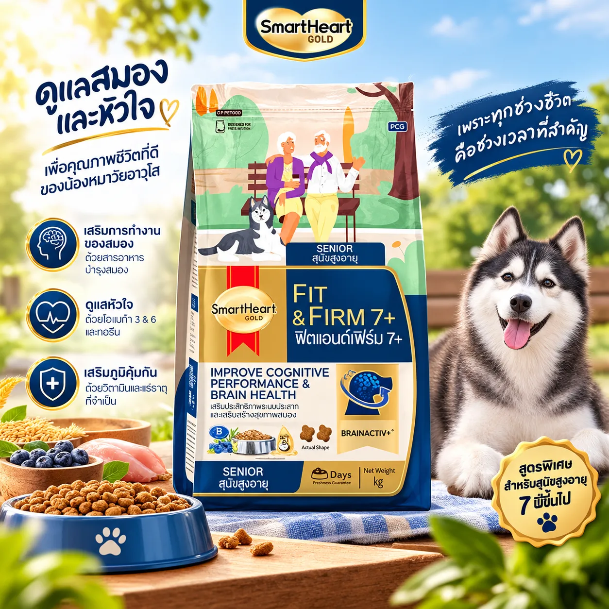 Smartheart Gold Fit & Firm 7+ อาหารเม็ดสำหรับสุนัขโตพันธุ์ใหญ่สูงวัย 7 ปีขึ้นไป