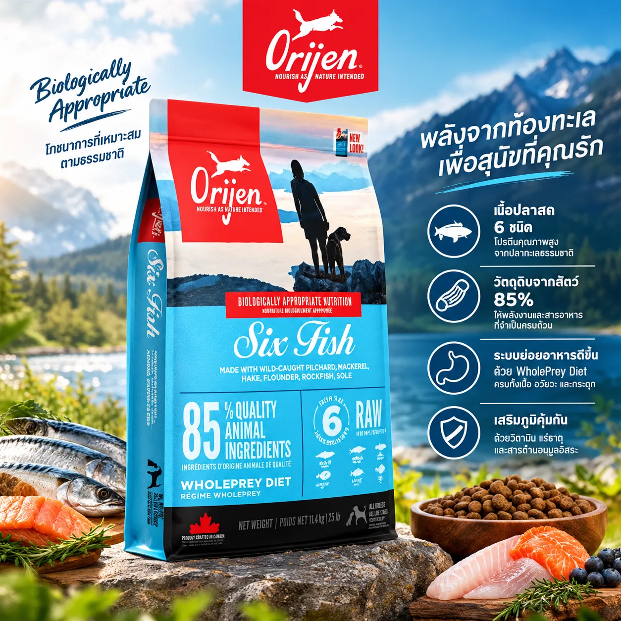 Orijen 6 Fish Dog สูตรโปรตีนจากปลาล้วน 6 ชนิด
