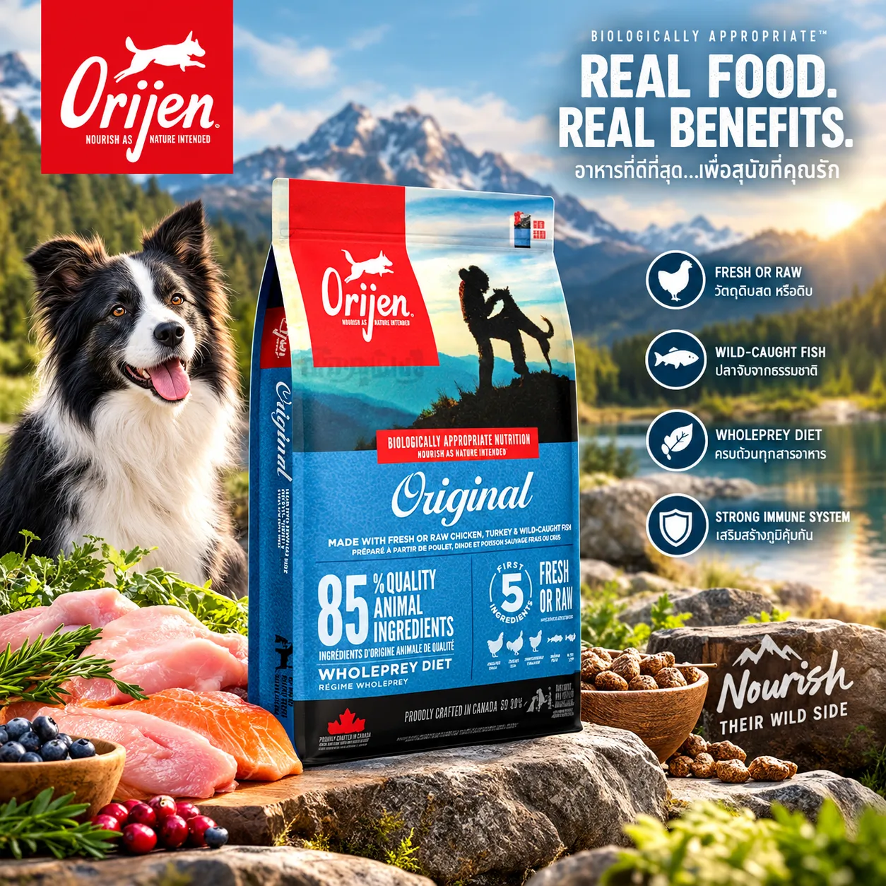 Orijen Original Adult Dog สำหรับสุนัขโตทุกสายพันธุ์