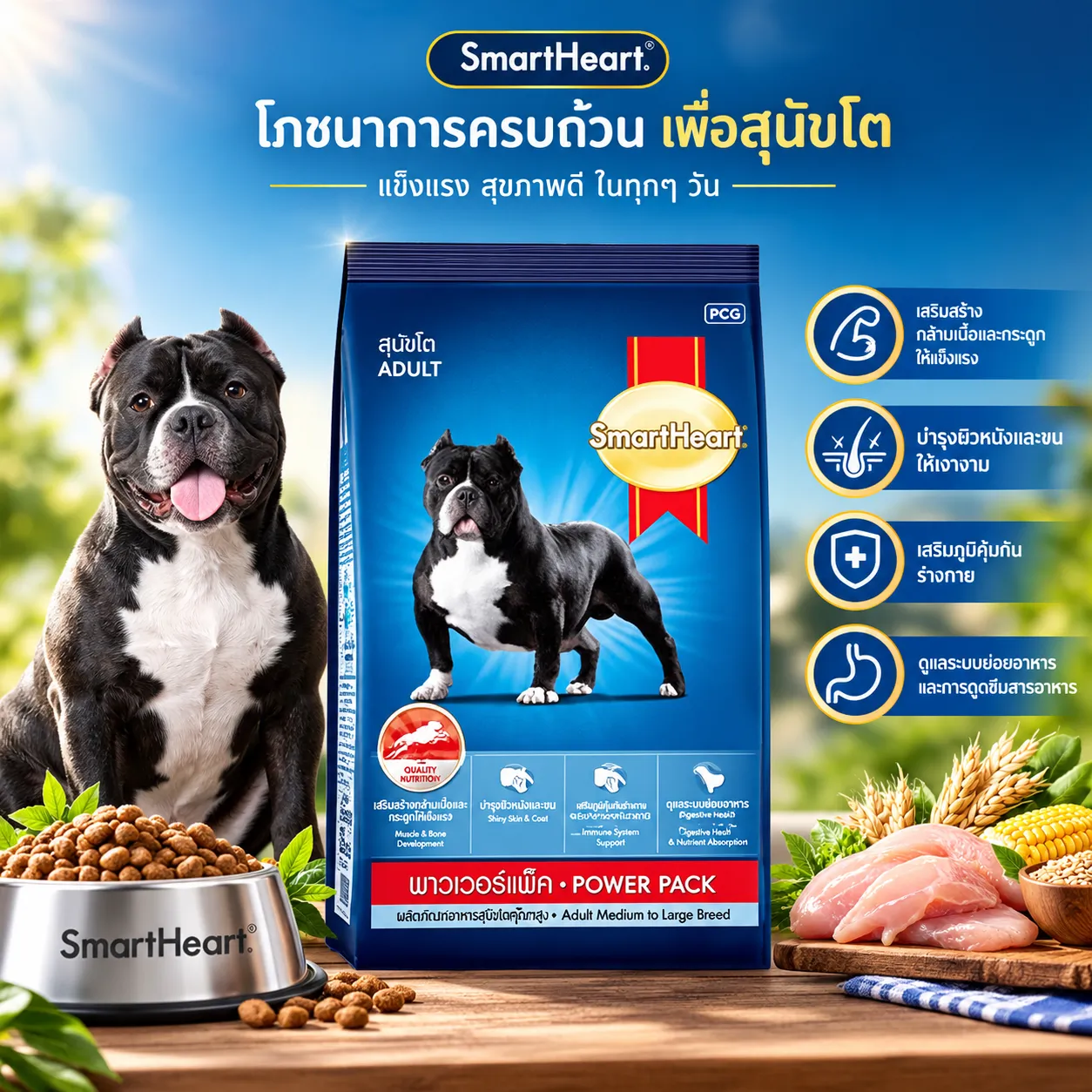 Smartheart Power Pack Adult อาหารเม็ดสำหรับสุนัขโตพันธุ์กลาง-ใหญ่