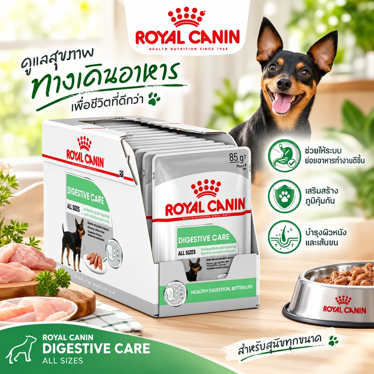 Royal Canin Pouch อาหารเปียกสุนัข สูตร Digestive Care (สูตรสุนัขดูแลระบบย่อยอาหาร) 85 g