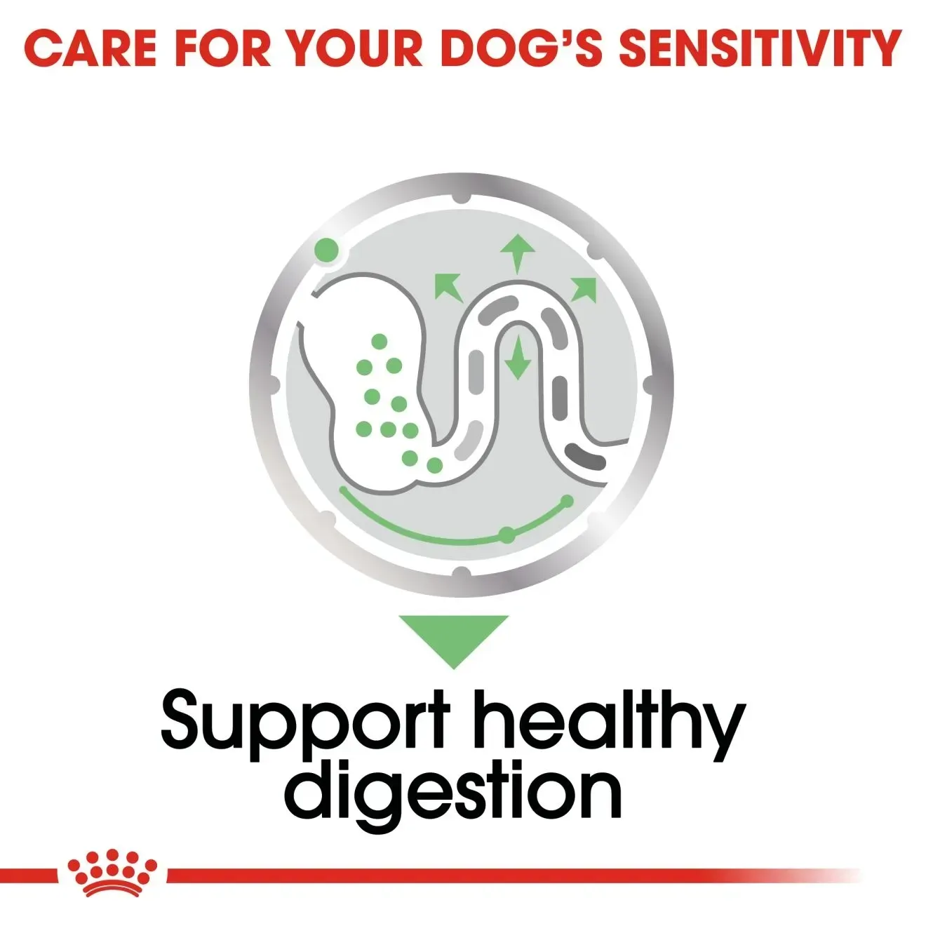 Royal Canin Pouch อาหารเปียกสุนัข สูตร Digestive Care (สูตรสุนัขดูแลระบบย่อยอาหาร) 85 g