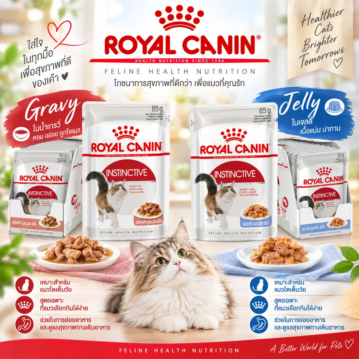 Royal Canin Pouch อาหารเปียกแมวซอง สูตร Instinctive 85 g