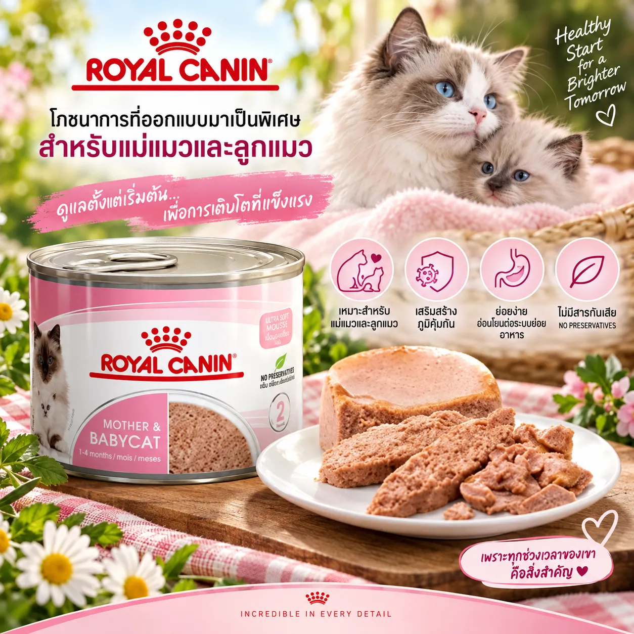 Royal Canin Babycat Can อาหารเปียกแมวกระป๋อง สำหรับแม่และลูกแมว 195 g