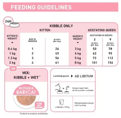 Royal Canin Babycat Can อาหารเปียกแมวกระป๋อง สำหรับแม่และลูกแมว 195 g