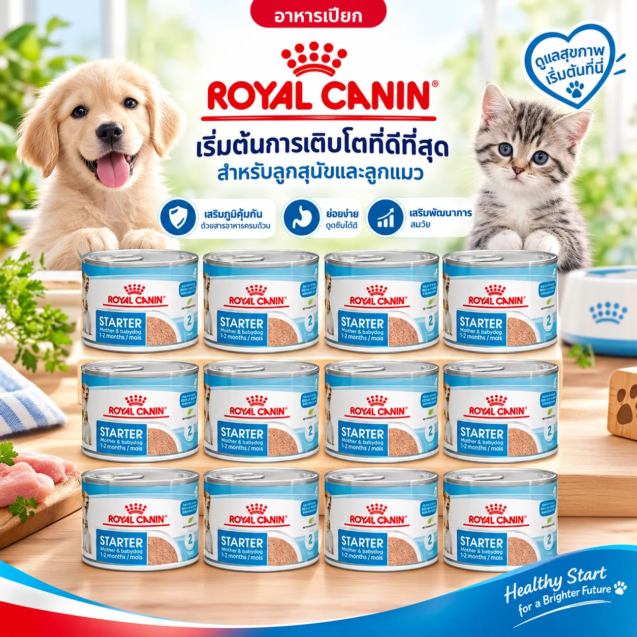 Royal Canin Starter Mousse Can อาหารเปียกสุนัขกระป๋อง สูตรสำหรับแม่สุนัขและลูกสุนัข 195 g