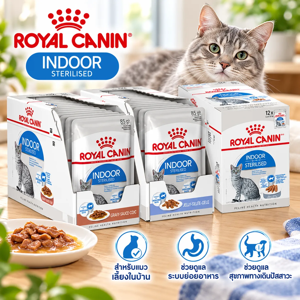 Royal Canin Pouch อาหารเปียกแมวซอง สูตร Indoor 85 g