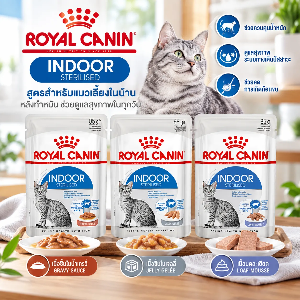 Royal Canin Pouch อาหารเปียกแมวซอง สูตร Indoor 85 g