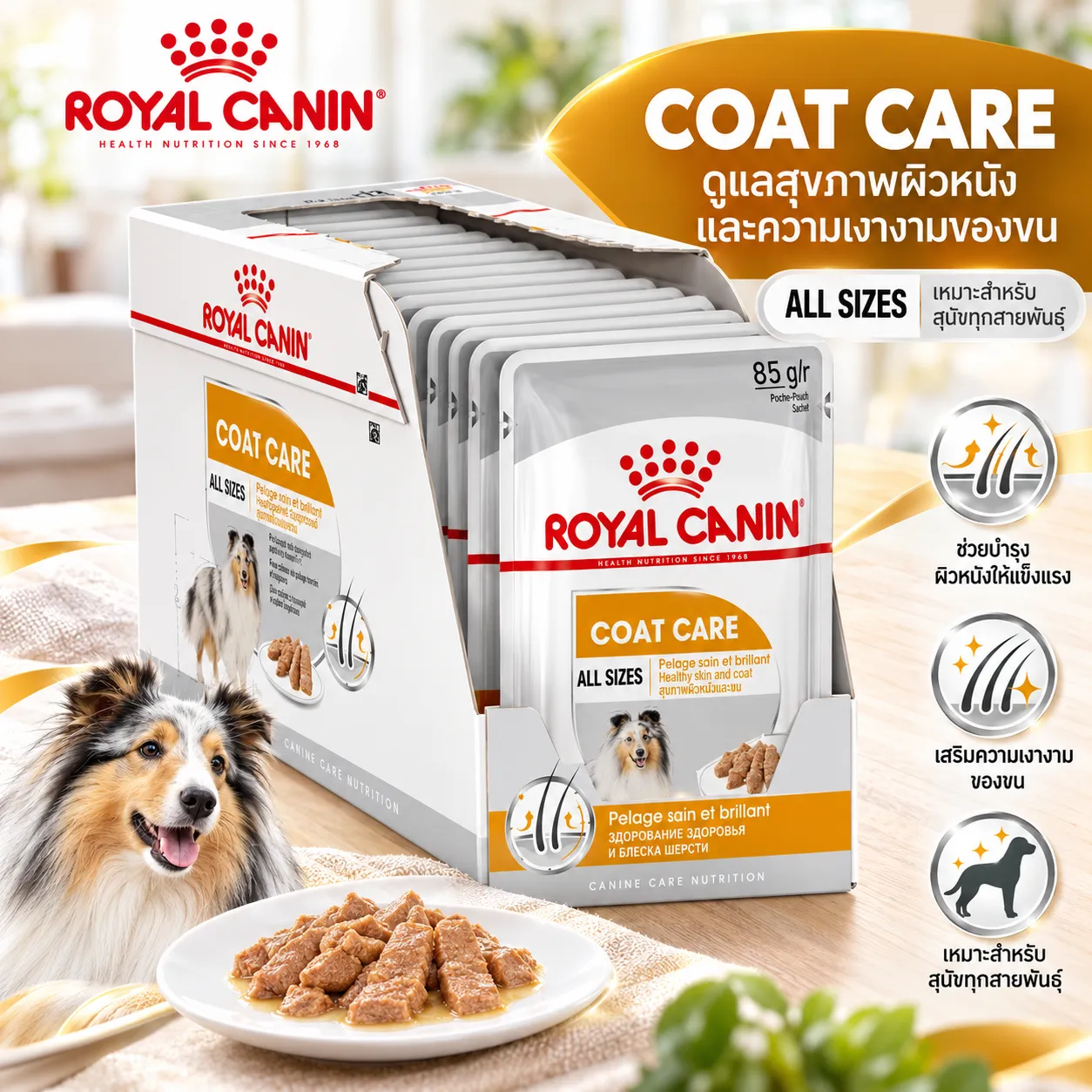 Royal Canin Pouch อาหารเปียกสุนัข สูตร Coat Care Loaf (สูตรดูแลสุขภาพเส้นขน ให้ขนสวยเงางาม) 85 g