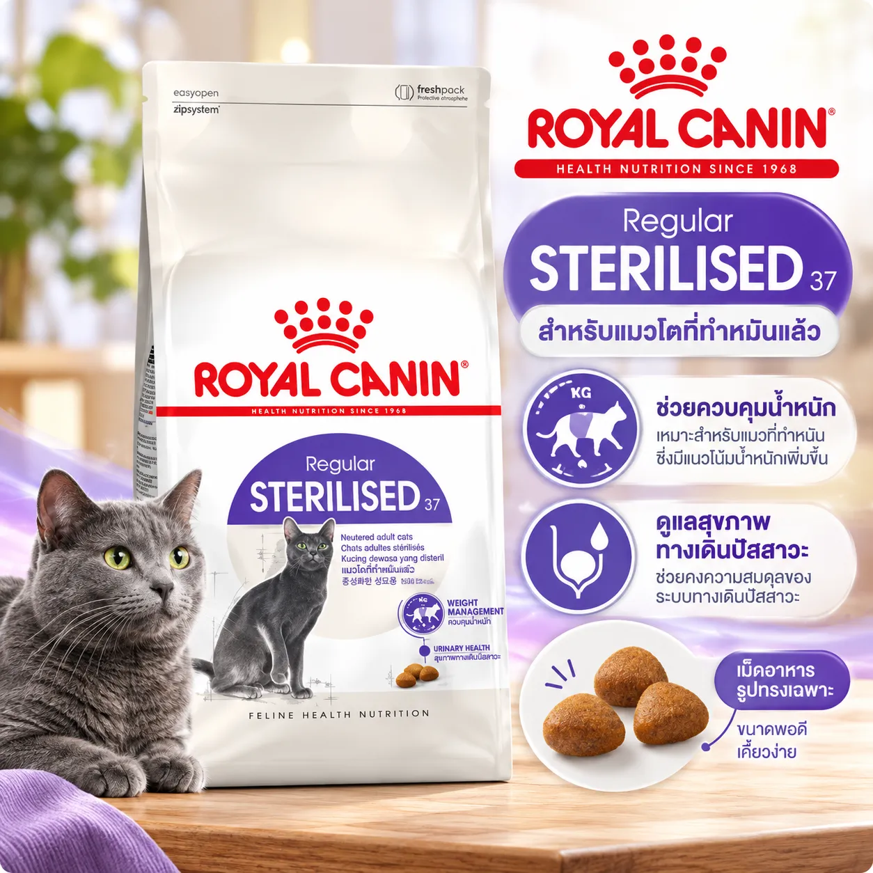 Royal Canin Sterilised37 อาหารสำหรับแมวโตทำหมัน