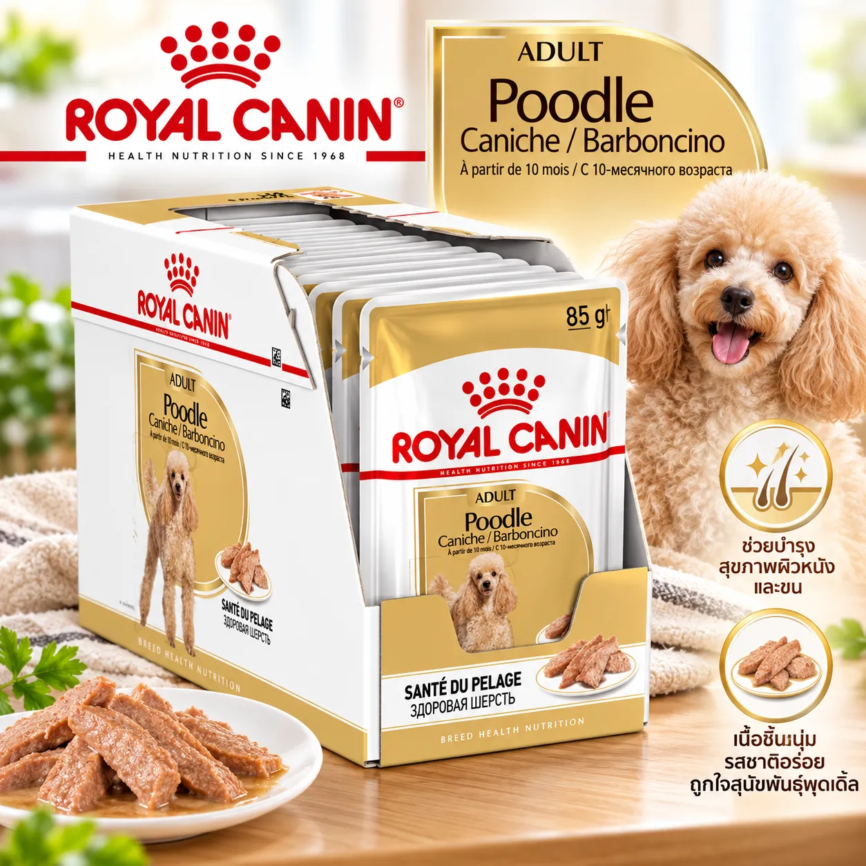 Royal Canin Pouch อาหารเปียกสุนัข สูตร Poodle Loaf สุนัขพันธุ์พุดเดิ้ล 85 g
