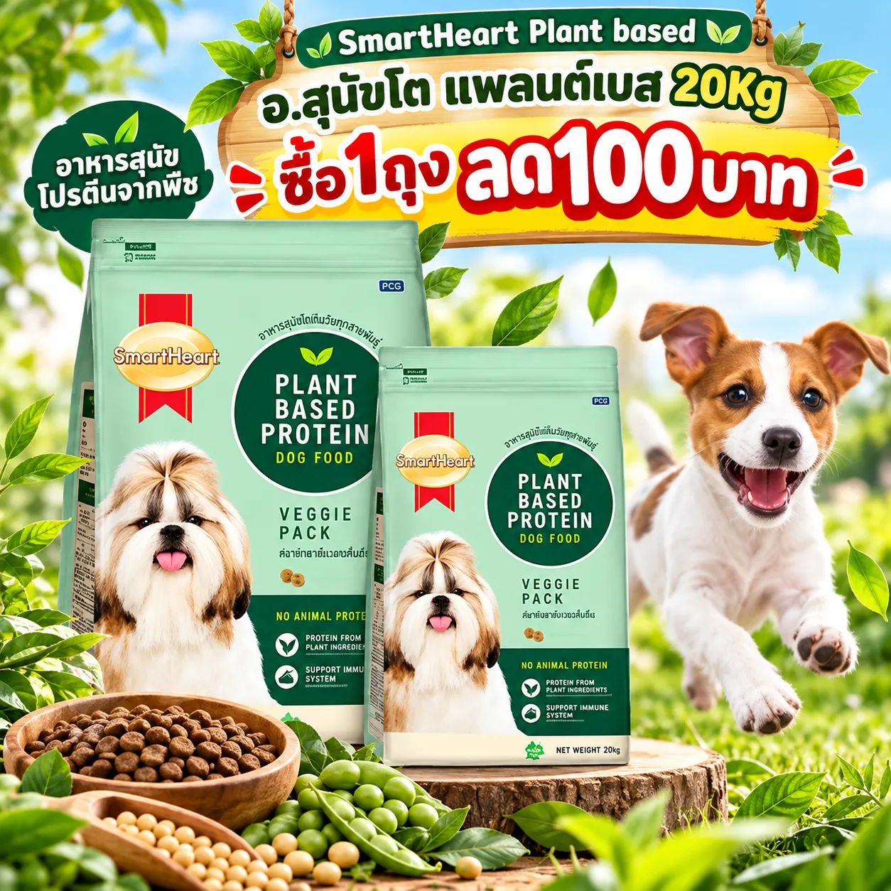 ซื้อ1ถุง ลด100บาท
