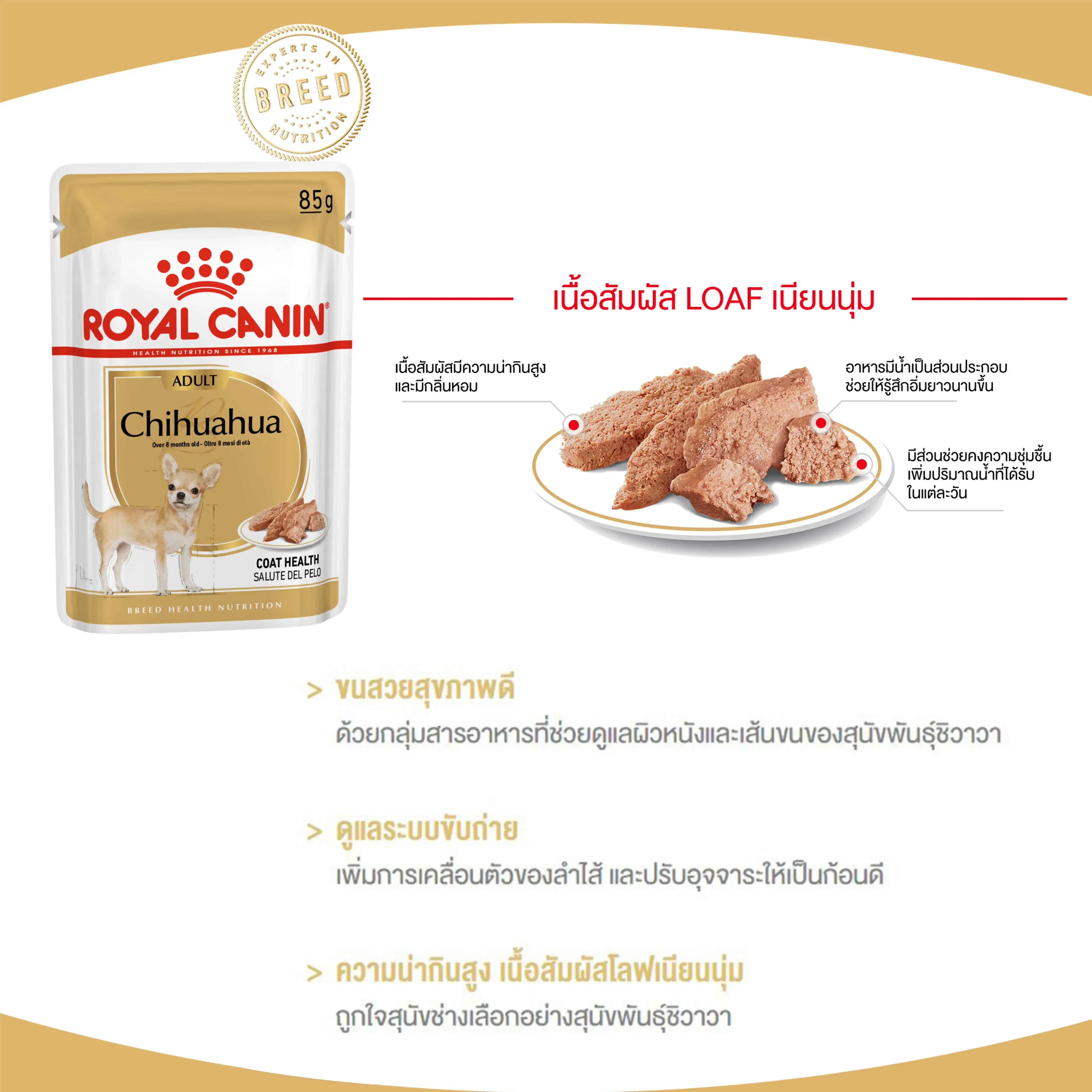 Royal Canin Pouch อาหารเปียกสุนัข สูตร Chihuahua Loaf สำหรับสุนัขโตพันธุ์ชิวาวา 85 g