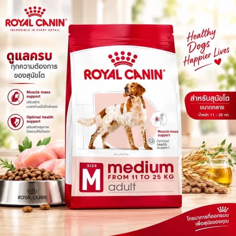 Royal Canin Medium Adult อาหารสำหรับสุนัขโตพันธุ์กลาง