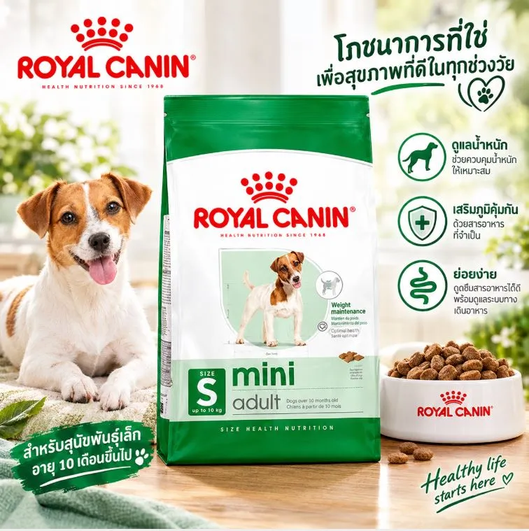 Royal Canin Mini Adult อาหารสำหรับสุนัขโตพันธุ์เล็ก