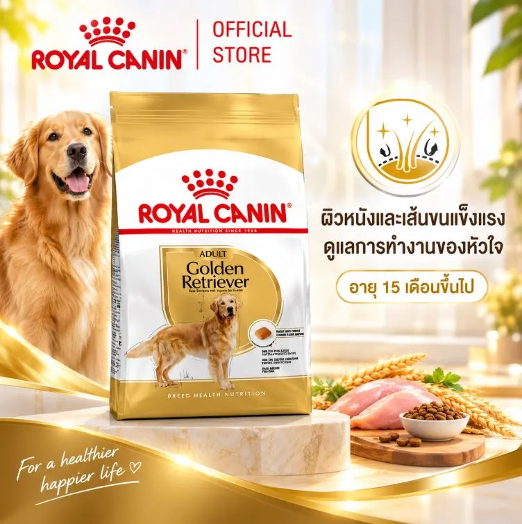 Royal Canin Golden Retriever Adult อาหารเม็ดสำหรับสุนัขโตพันธุ์โกลเด้นรีทรีฟเวอร์