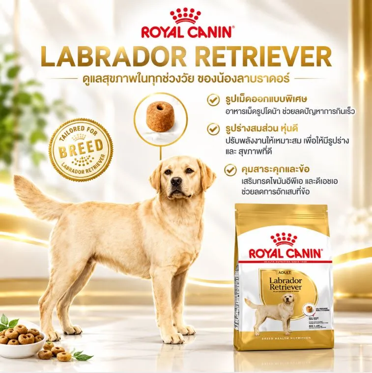Royal Canin Labrador Retriever Adult อาหารเม็ดสำหรับสุนัขโตพันธุ์ลาบราดอร์รีทรีฟเวอร์