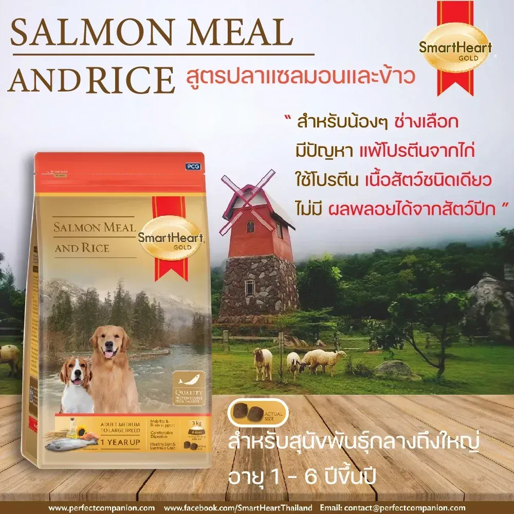 Smartheart Gold Salmon&Rice อาหารเม็ดสำหรับสุนัขโตพันธุ์กลาง-ใหญ่