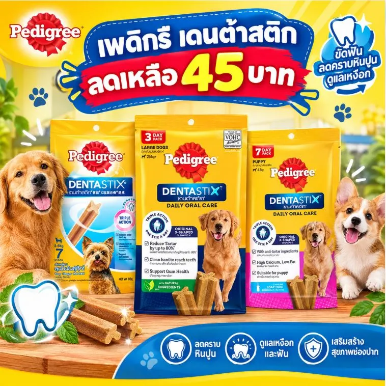  ลดเหลือ45บาท