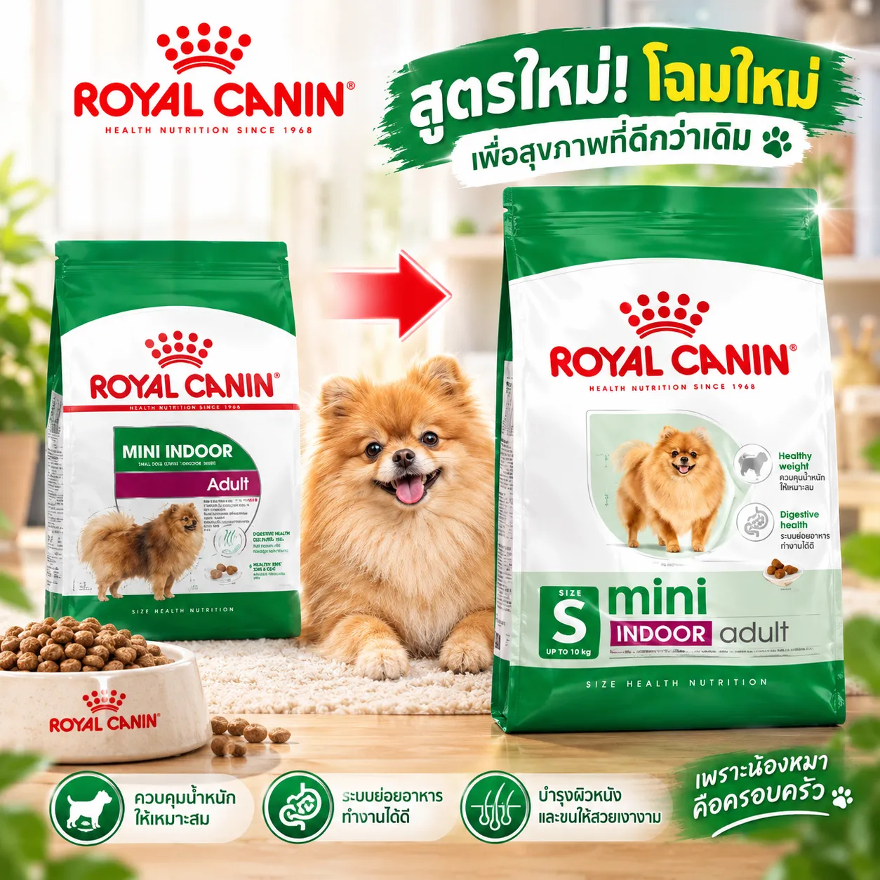 Royal Canin Mini Indoor Senior อาหาร สำหรับสุนัขสูงวัยพันธุ์เล็ก สูตรเลี้ยงในบ้าน