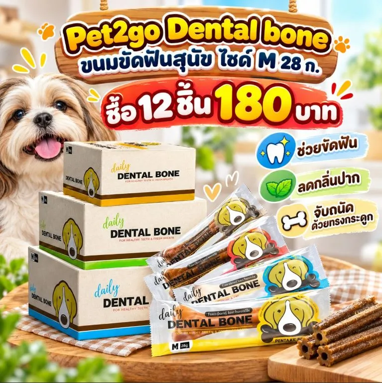 28 ก.ซื้อ12ชิ้น180บาท