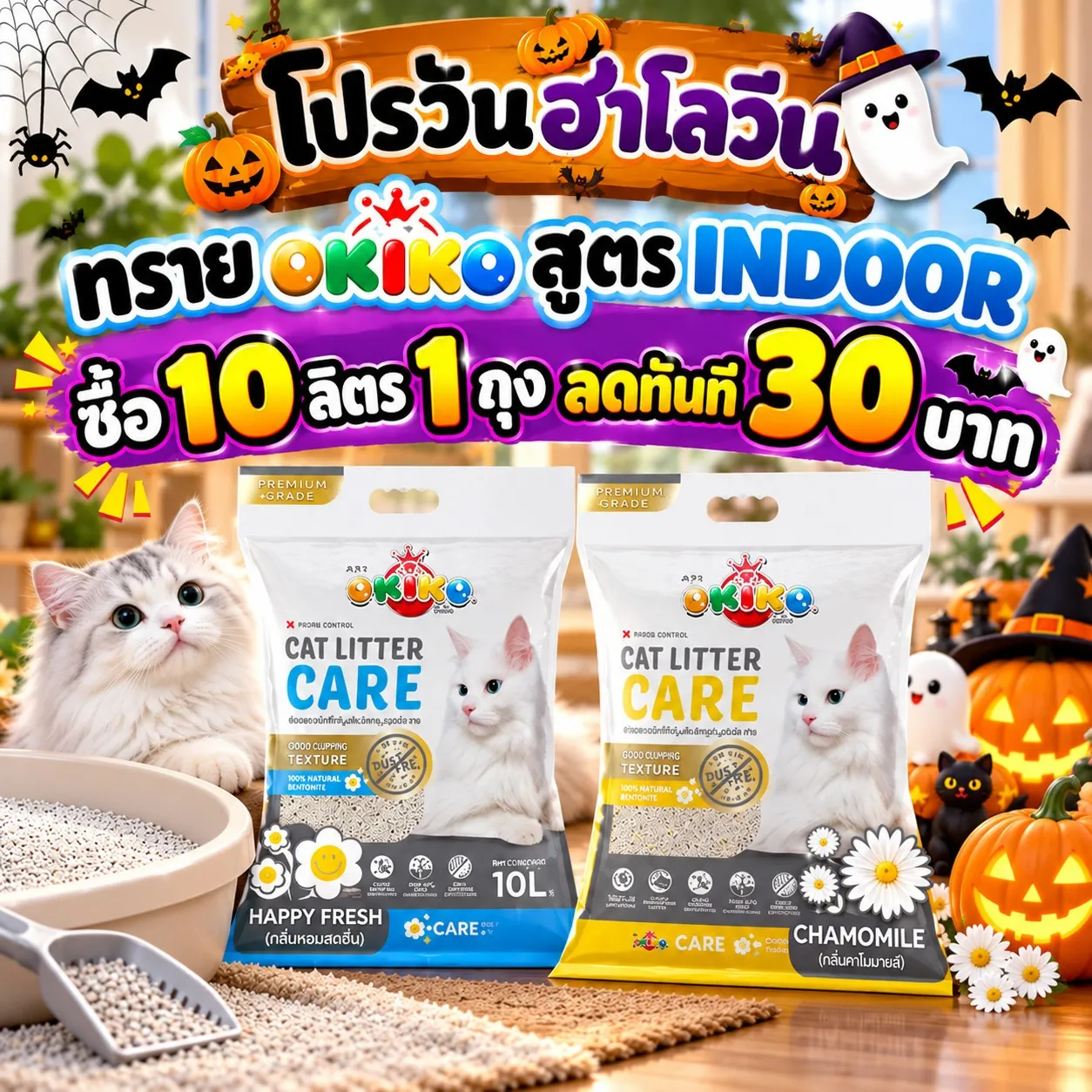 ซื้อ10ลิตร1ถุงลด30บาท