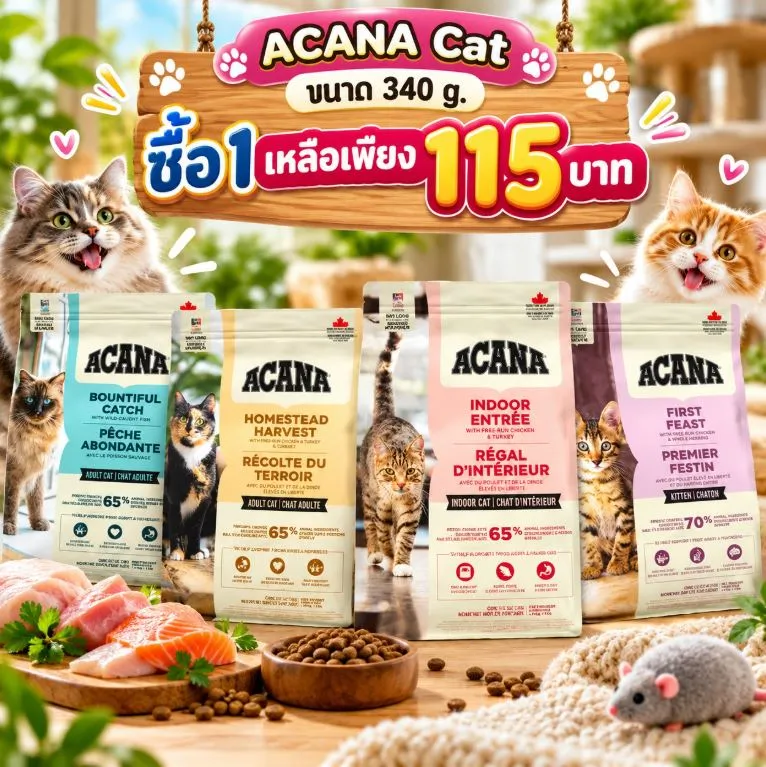 ซื้อ1เหลือเพียง 115บาท