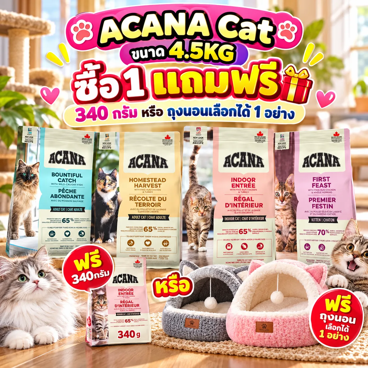4.5กิโลซื้อ1ถุงเเถม340กรัม1ถุง